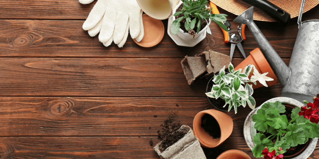 Wie man Unkraut effektiv bekämpft: Tipps und Tricks für einen sauberen Garten